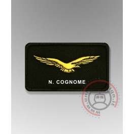 Civil Air Pilot Gold Civil Air Pilot Gold